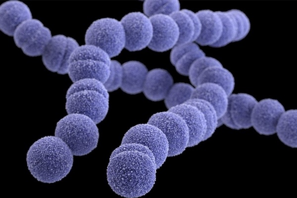 6 trẻ em ở Vương quốc Anh đã tử vong vì nhiễm liên cầu khuẩn-1