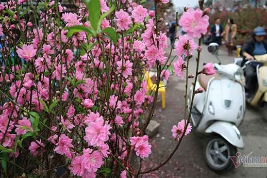 Năm đầu ăn Tết ở nhà chồng, mẹ nói một câu khiến tôi nhớ mãi
