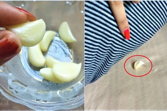 Vì sao nên đặt một nhánh tỏi ở đầu giường ngủ: Lợi ích tuyệt vời, rất cần trong mùa đông
