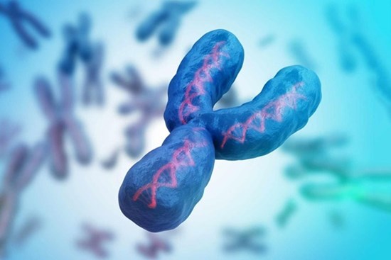 Tương lai nam giới ra sao khi nhiễm sắc thể Y dần biến mất