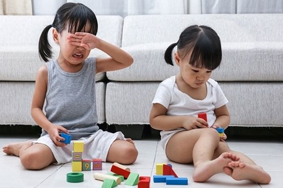 Giáo sư nổi tiếng chỉ ra một kiểu giáo dục đầy tai hại của cha mẹ, khiến các con ganh ghét nhau