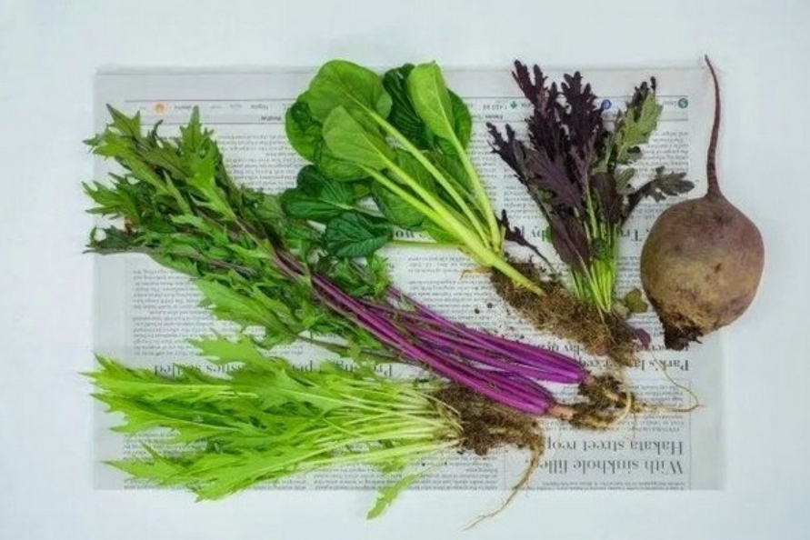 Vò nát giấy báo cũ giúp nhà cửa luôn sạch sẽ, thậm chí còn tiết kiệm cả một khoản tiền không nhỏ-2