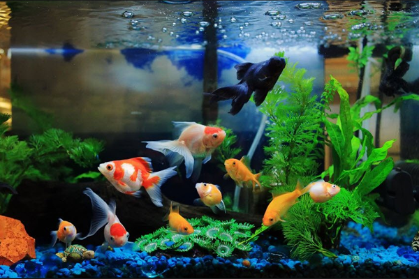 Ngôi nhà 23m2 nhưng cực kỳ gọn gàng và tiện dụng, thỏa mãn cuộc sống một mình của các cô gái-21