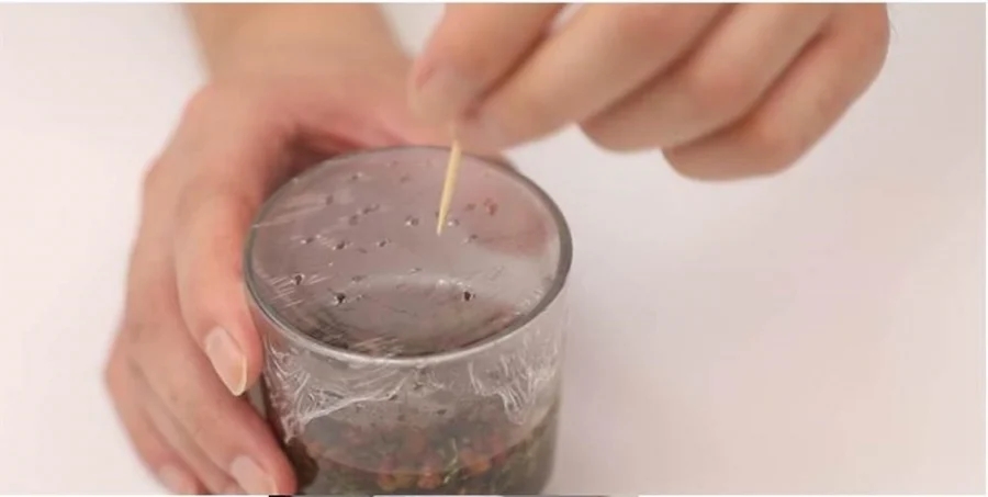 Đặt nắm hạt tiêu dưới gầm giường, lợi đủ đường mà nhiều người chưa biết-4