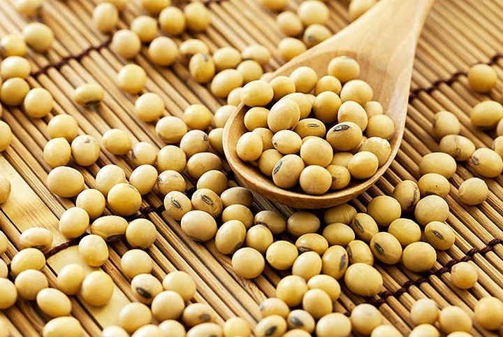 Cây kim tiền thích ăn 3 thứ này, cứ vùi vào chậu là chồi non đua nhau mọc, nhanh ra hoa-2