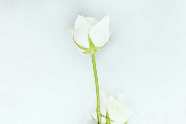 Sau Rằm tháng 11 Âm lịch, 3 con giáp phúc lộc song toàn, vượng đường thăng tiến-3