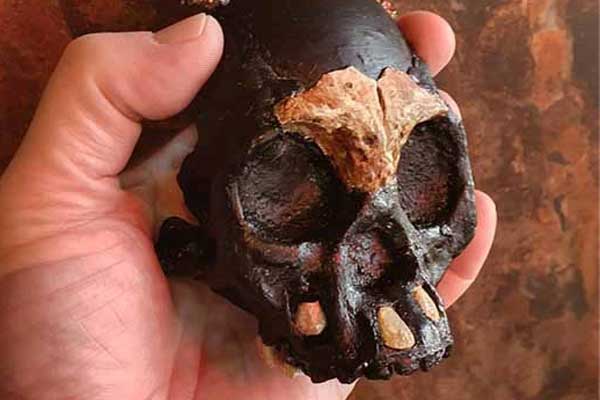 Phát hiện cực sốc trong hang loài người ma 230.000 tuổi-1