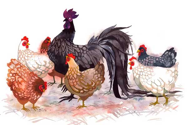 Xởi lởi trời cởi ra cho: 4 tuổi con cưng Thần Tài cuối năm trúng số đổi đời, giàu nứt đón Tết to-2