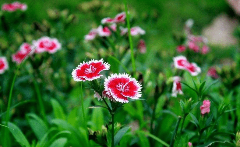 Trẻ em sinh vào 3 tháng Âm lịch này gánh lộc về nhà, cha mẹ được nhờ-2