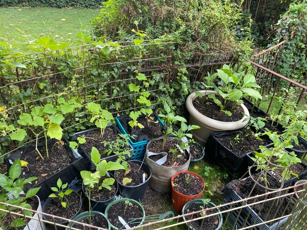 10 mẹo tiết kiệm tiền bạc đáng kể-8