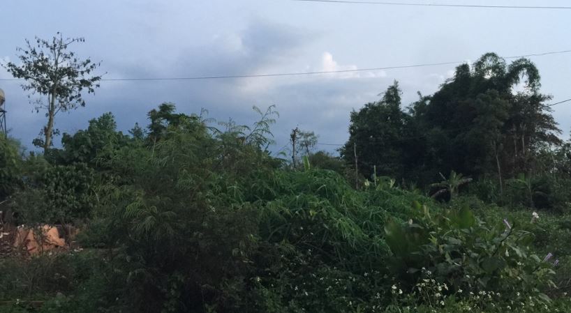 Giá đất lao dốc và những vụ bỏ của chạy lấy người” của giới đầu cơ bất động sản-1