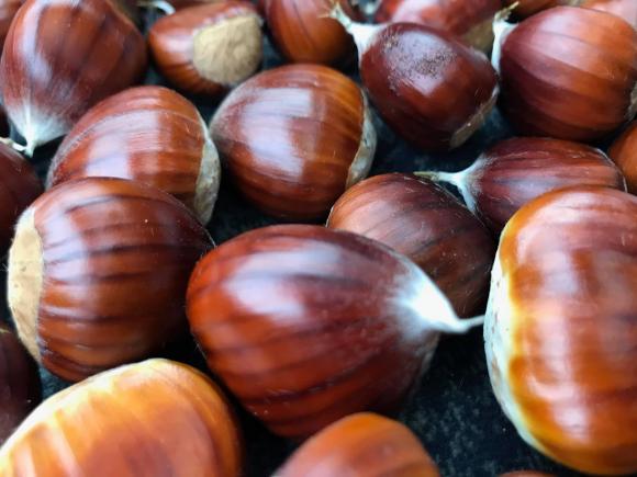 Đang vào mùa, làm ngay món xôi hạt dẻ thơm phức, bùi ngon-2