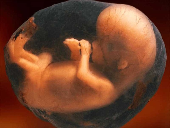 Vì sao thai nhi được sống trong nước ối 10 tháng mà da không bị tổn thương?-2