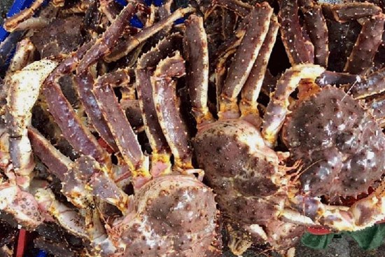 Hải sản cao cấp giá giảm mạnh, có loại rẻ hơn gần 1 triệu đồng/kg