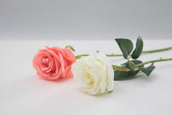 Tuần mới từ 12/12, 3 con giáp ra ngoài làm ăn phát tài, về nhà gia đình hòa thuận