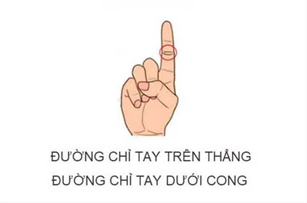 Bỏ ra 3 giây nhìn đường chỉ tay ngón trỏ biết ngay vận mệnh sang hèn-2