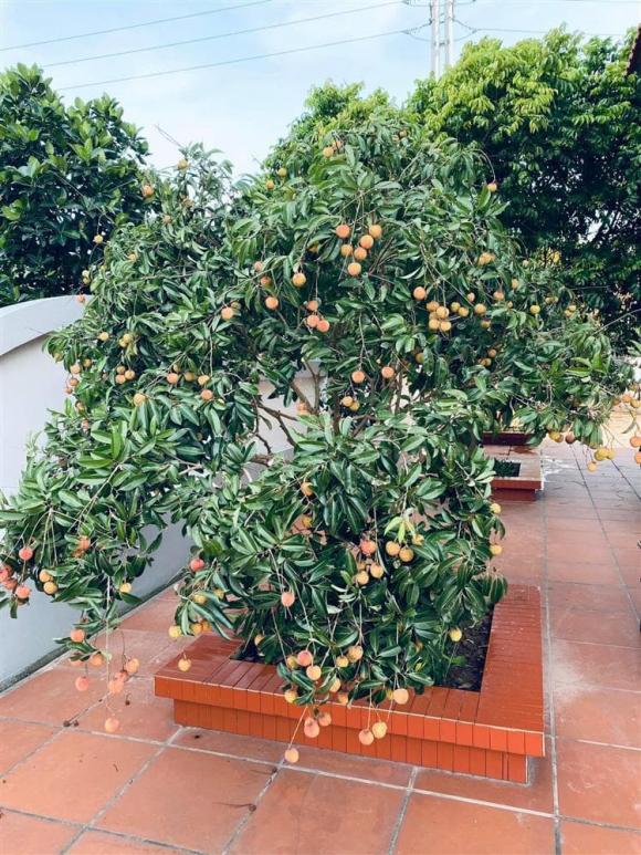 Biệt thự bề thế, chuẩn nhà giàu của gia đình hôn phu Hoa hậu Ngọc Hân tương đồng phong cách sống của ngôi nhà nàng hậu tự thiết kế-34