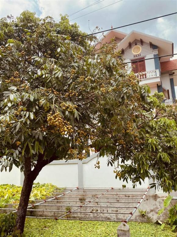 Biệt thự bề thế, chuẩn nhà giàu của gia đình hôn phu Hoa hậu Ngọc Hân tương đồng phong cách sống của ngôi nhà nàng hậu tự thiết kế-37