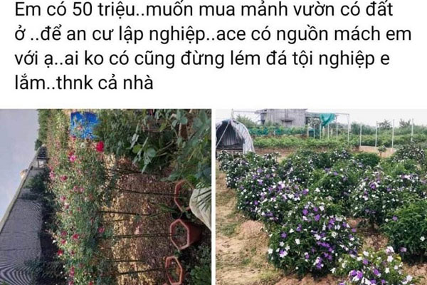 Môi giới tiết lộ sự thật đằng sau lời rao bán cắt lỗ đất nhà vườn ven đô-4