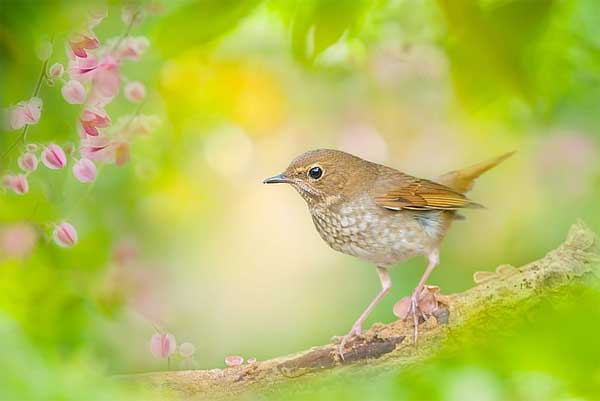 Ai sinh tháng Âm lịch này tự làm chủ cuộc đời, vận may dồi dào, sự nghiệp thuận buồm xuôi gió-2