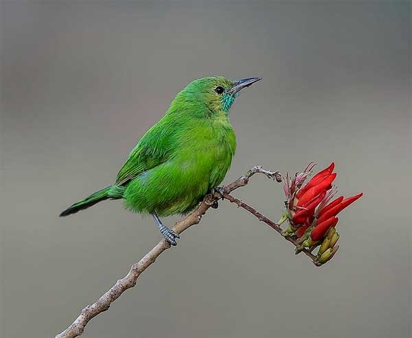 Ai sinh tháng Âm lịch này tự làm chủ cuộc đời, vận may dồi dào, sự nghiệp thuận buồm xuôi gió-3