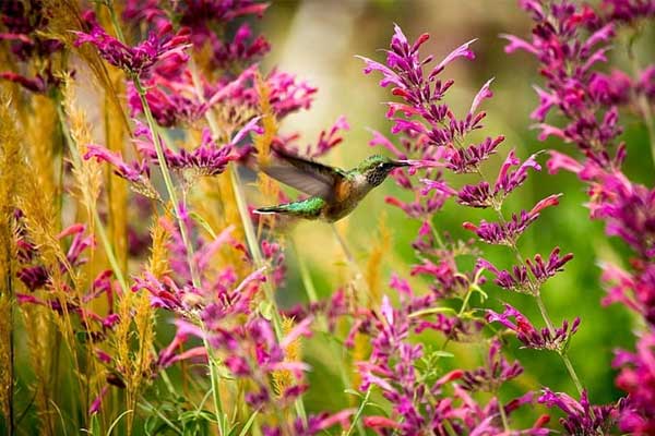 5 đặc điểm trên tay phụ nữ mang mệnh tỷ phú, số lắm tiền nhiều của, có 1/5 cũng giàu nứt đố đổ vách-3