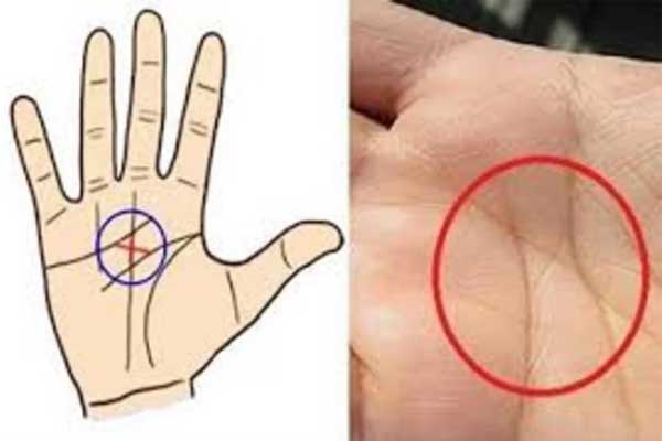 5 đặc điểm trên tay phụ nữ mang mệnh tỷ phú, số lắm tiền nhiều của, có 1/5 cũng giàu nứt đố đổ vách-1