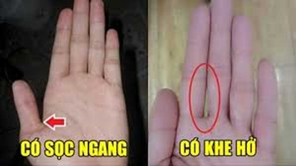 5 đặc điểm trên tay phụ nữ mang mệnh tỷ phú, số lắm tiền nhiều của, có 1/5 cũng giàu nứt đố đổ vách-2