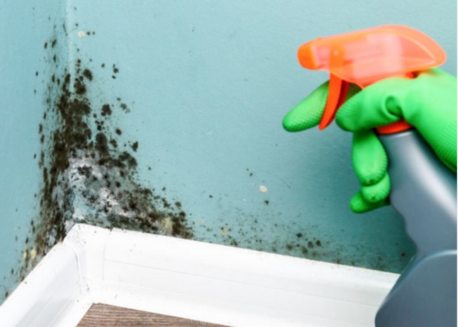 Bàn chải đánh răng ngâm trong thứ nước này giúp diệt khuẩn, bảo vệ sức khỏe cả gia đình-2