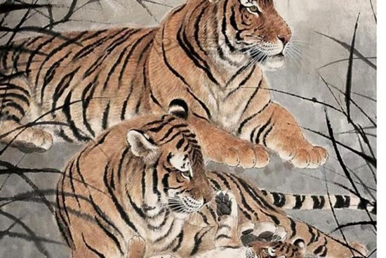 4 con giáp nữ càng về già càng có phúc 'Đời người có vàng', phú quý về già!