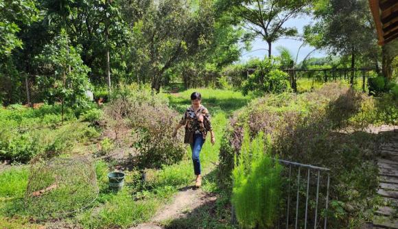 Ngắm không gian bình yên, dân dã ở trang trại của MC Thu Uyên-1