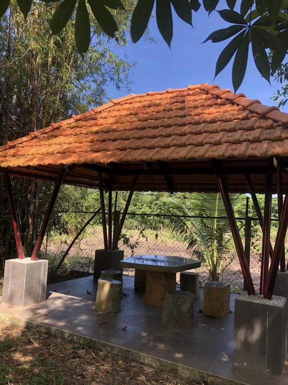 Ngắm không gian bình yên, dân dã ở trang trại của MC Thu Uyên-11