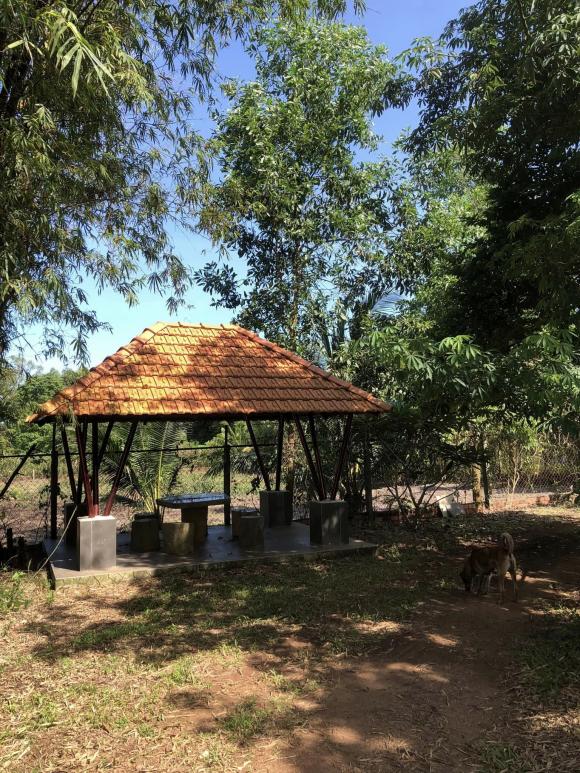 Ngắm không gian bình yên, dân dã ở trang trại của MC Thu Uyên-12