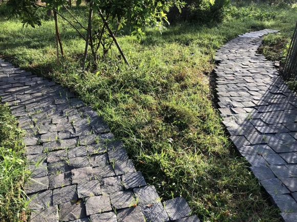 Ngắm không gian bình yên, dân dã ở trang trại của MC Thu Uyên-7