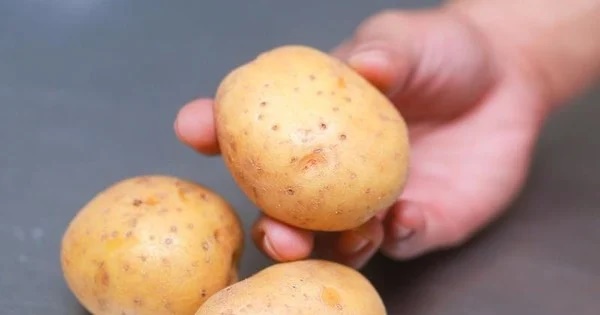 Đừng để khoai tây trong tủ lạnh: Làm theo cách này khoai để lâu vẫn tươi ngon, không mọc mầm-3