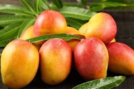 Người phụ nữ chỉ ăn trái cây trong 3 năm và khuyến cáo của chuyên gia