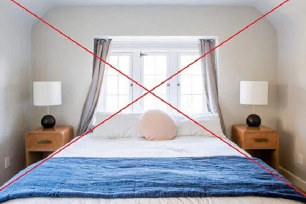 Đừng đặt hoa cúc lên bàn thờ mãi: Đây mới là loại cây lộc khí phừng phừng, nghe tên cũng thấy giàu sang-6