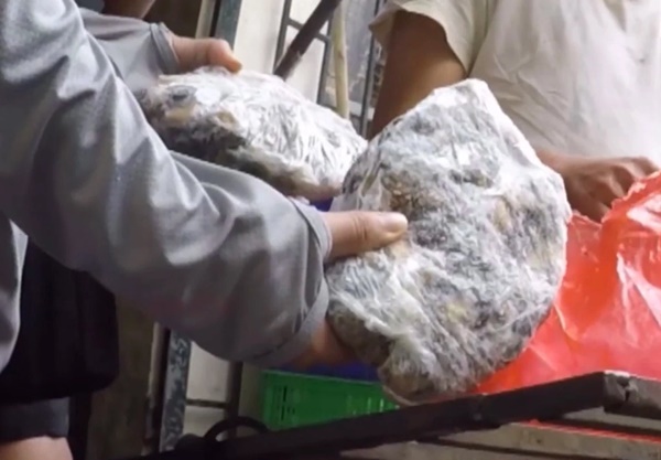 Sự thật rùng mình phía sau những bát bún ốc nóng hổi-1