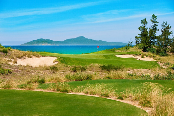 Ông Nguyễn Viết Dũng xin thôi thành viên Ban Kinh tế Ngân sách HĐND-2