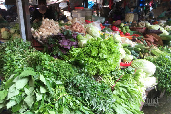 Cây súp lơ xanh có giá 50 nghìn đồng, bà nội trợ choáng váng khi đi chợ-4