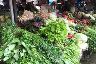 Hà Nội: Giá rau xanh tăng gấp đôi, 'chi phí đắt ngang thịt cá'