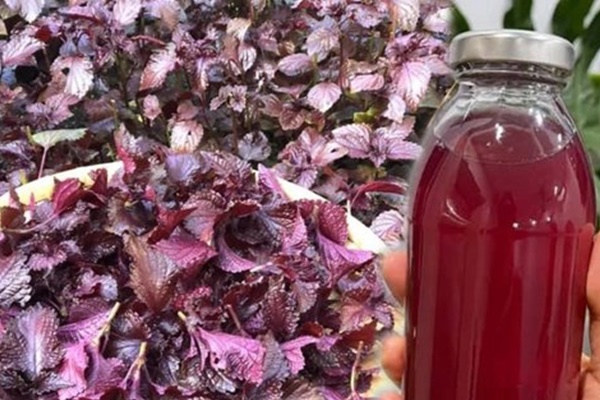 2 thức uống giúp lọc sạch gan của người Nhật-3