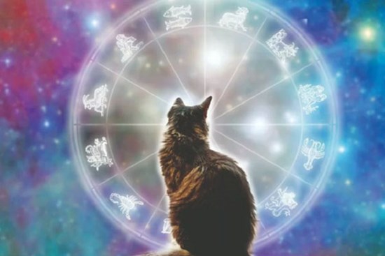 Năm Quý Mão 2023 hợp tuổi nào, tuổi nào gặp hạn tam tai?