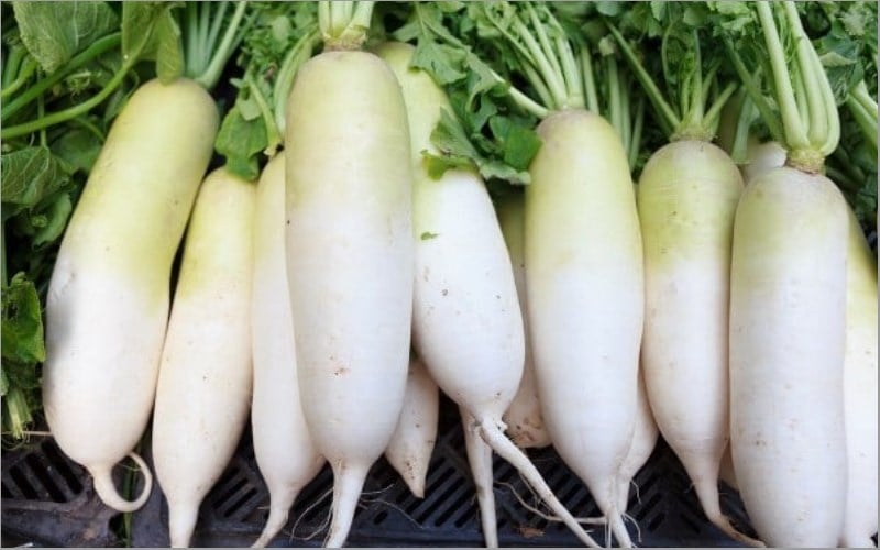 Mua củ cải đừng chăm chăm chọn củ to: Người trồng mách 5 mẹo hay, ít người biết-1
