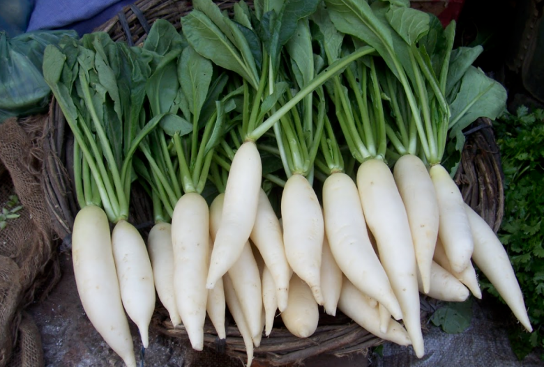 Mua củ cải đừng chăm chăm chọn củ to: Người trồng mách 5 mẹo hay, ít người biết-3