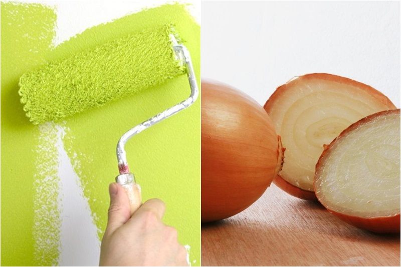 Thái nhỏ củ hành tây đem lại nhiều lợi ích, điều thứ 8 khiến bạn phải trầm trồ-4