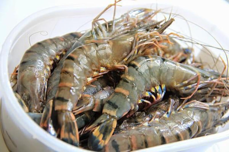 Tiểu thương hải sản bật mí cách chọn tôm ngon: cứ nhằm 6 điểm này, 10 con tươi cả 10, ai cũng muốn biết-6