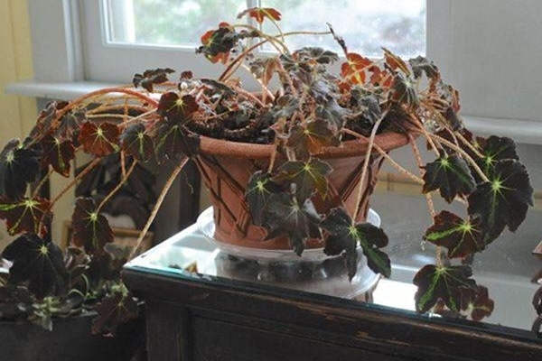 Đặt chổi ở vị trí này trong nhà dễ gặp xui xẻo, thậm chí 20 năm nữa cũng không có cơ hội đổi đời-6