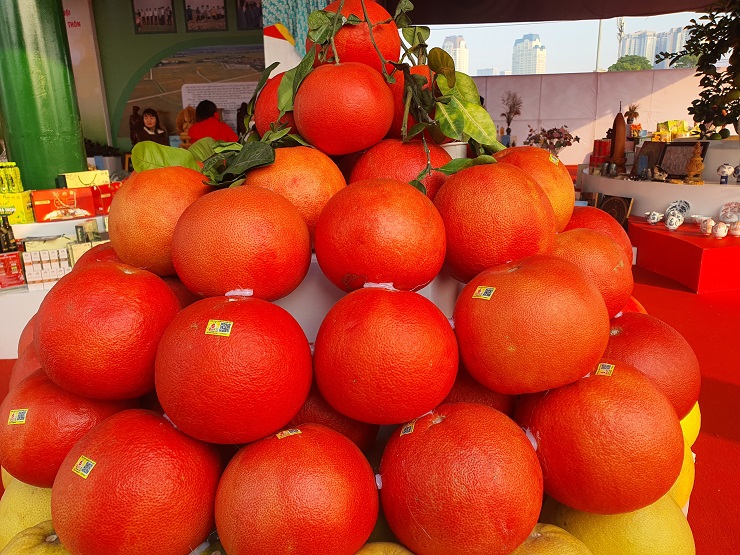 Bưởi đỏ như son có giá 150 nghìn đồng/quả xuống phố, hàng cực độc hút khách-1