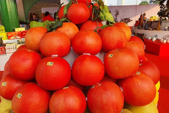 Bưởi đỏ như son có giá 150 nghìn đồng/quả xuống phố, hàng cực độc hút khách